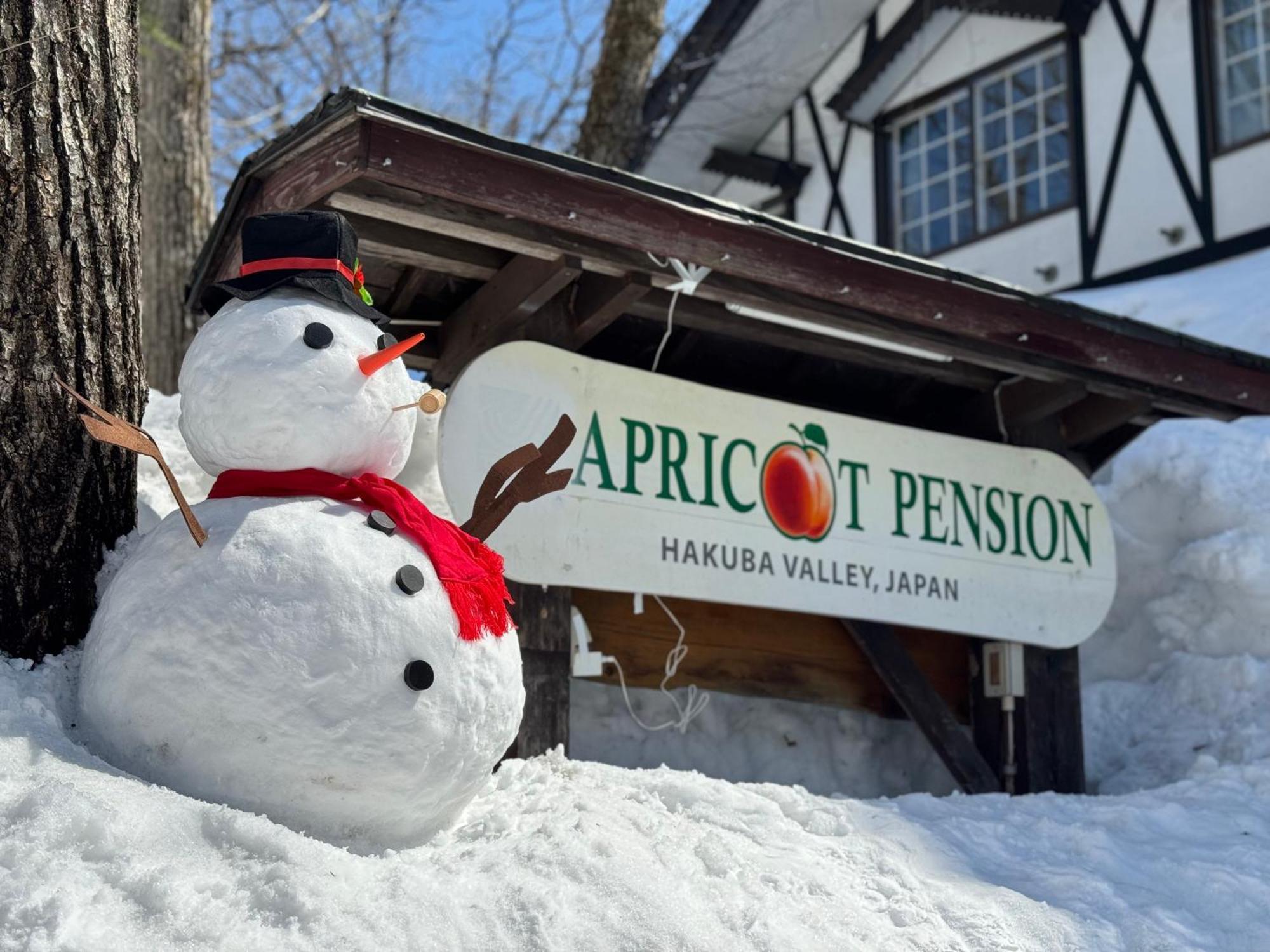 Apricot Pension Hakuba Kültér fotó