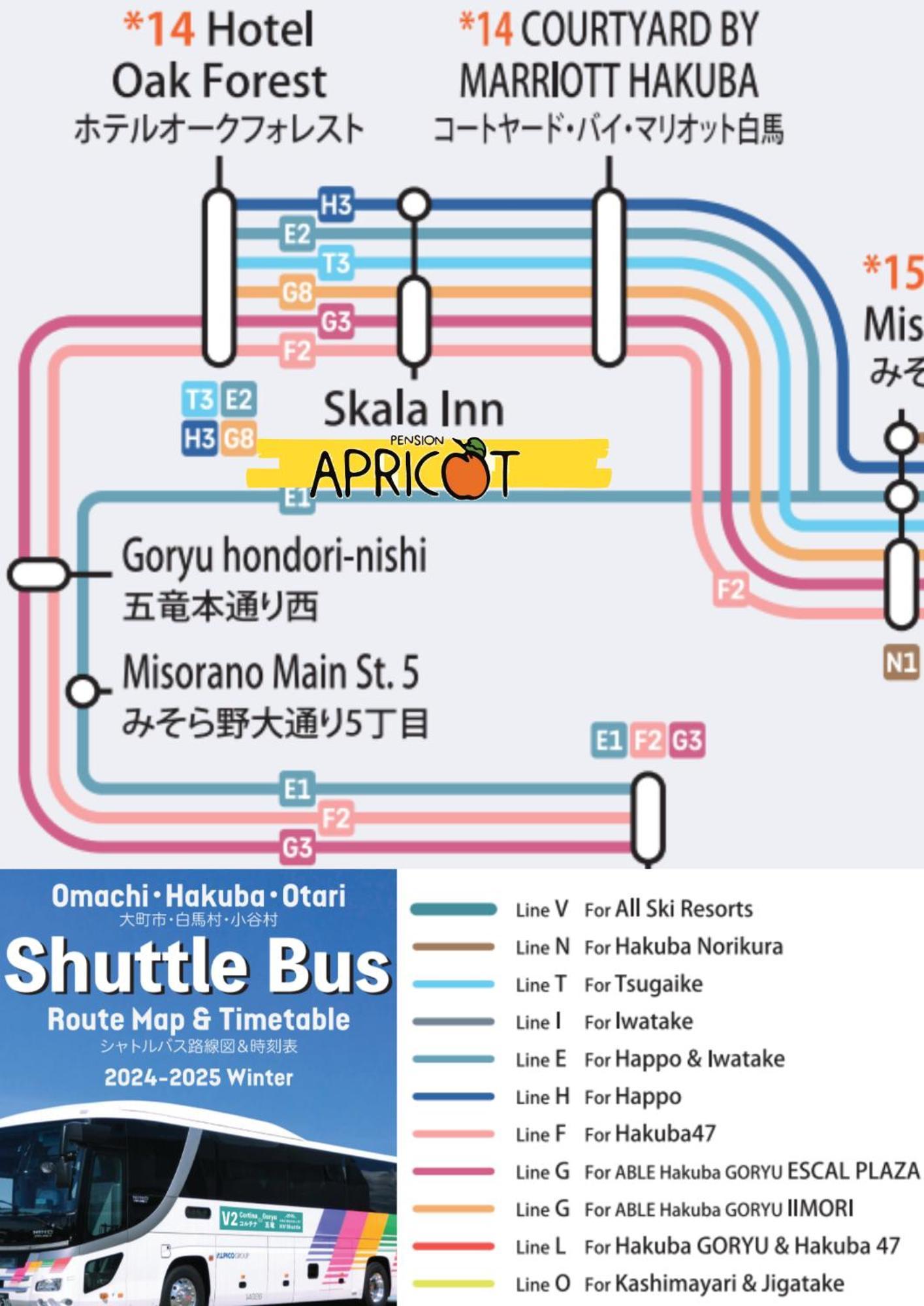 Apricot Pension Hakuba Kültér fotó