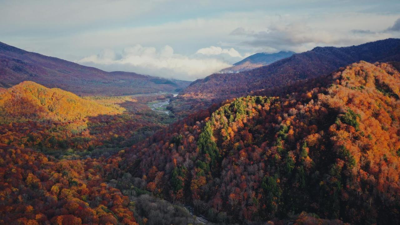 Apricot Pension Hakuba Kültér fotó