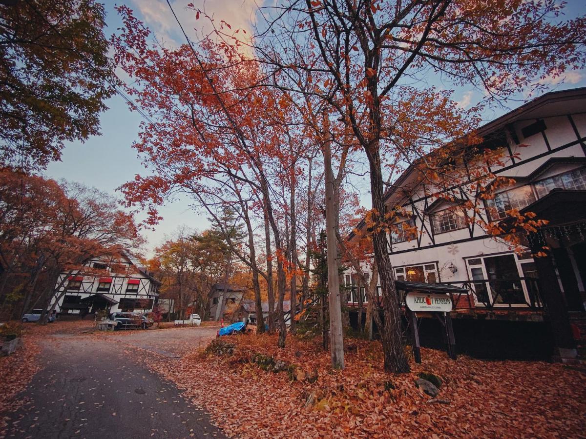 Apricot Pension Hakuba Kültér fotó