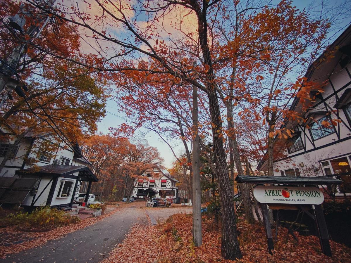 Apricot Pension Hakuba Kültér fotó