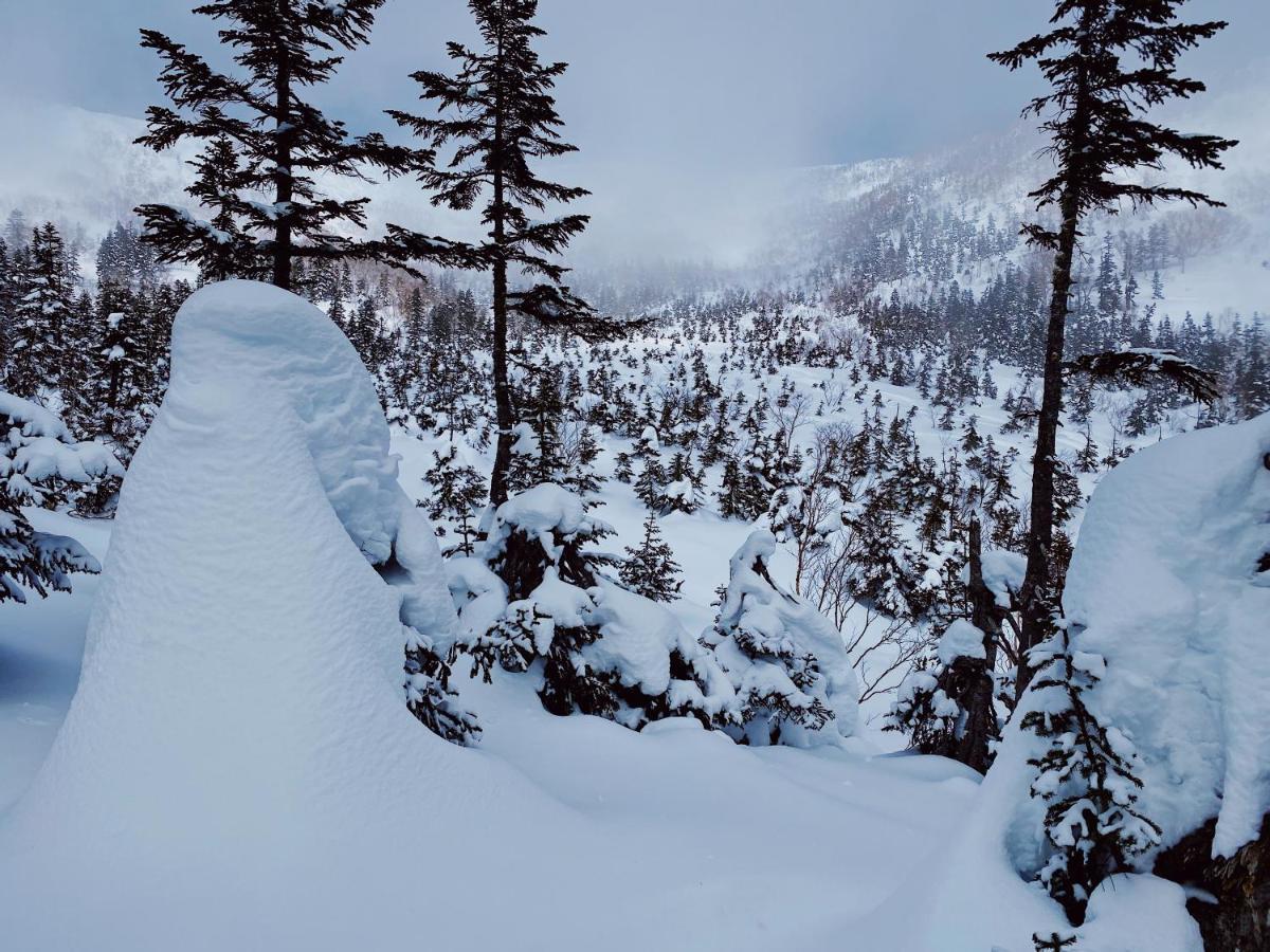 Apricot Pension Hakuba Kültér fotó